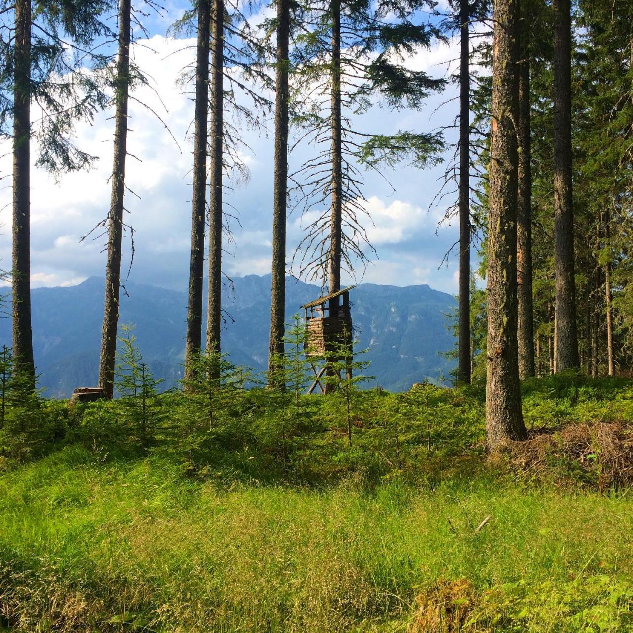 Berggasthof Scharfetter Hotel Haus im Ennstal Zewnętrze zdjęcie